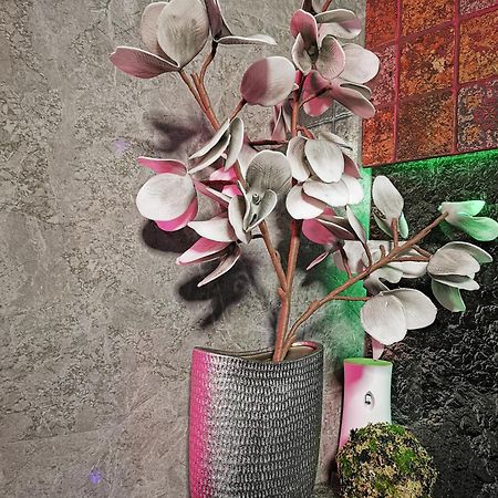 Crystal Central Apartment Braşov Dış mekan fotoğraf