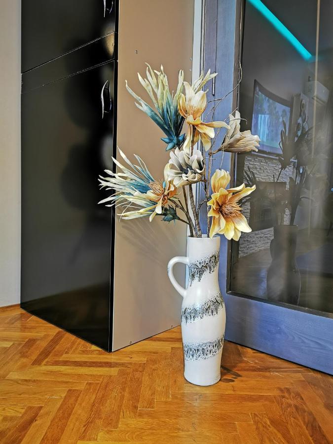 Crystal Central Apartment Braşov Dış mekan fotoğraf