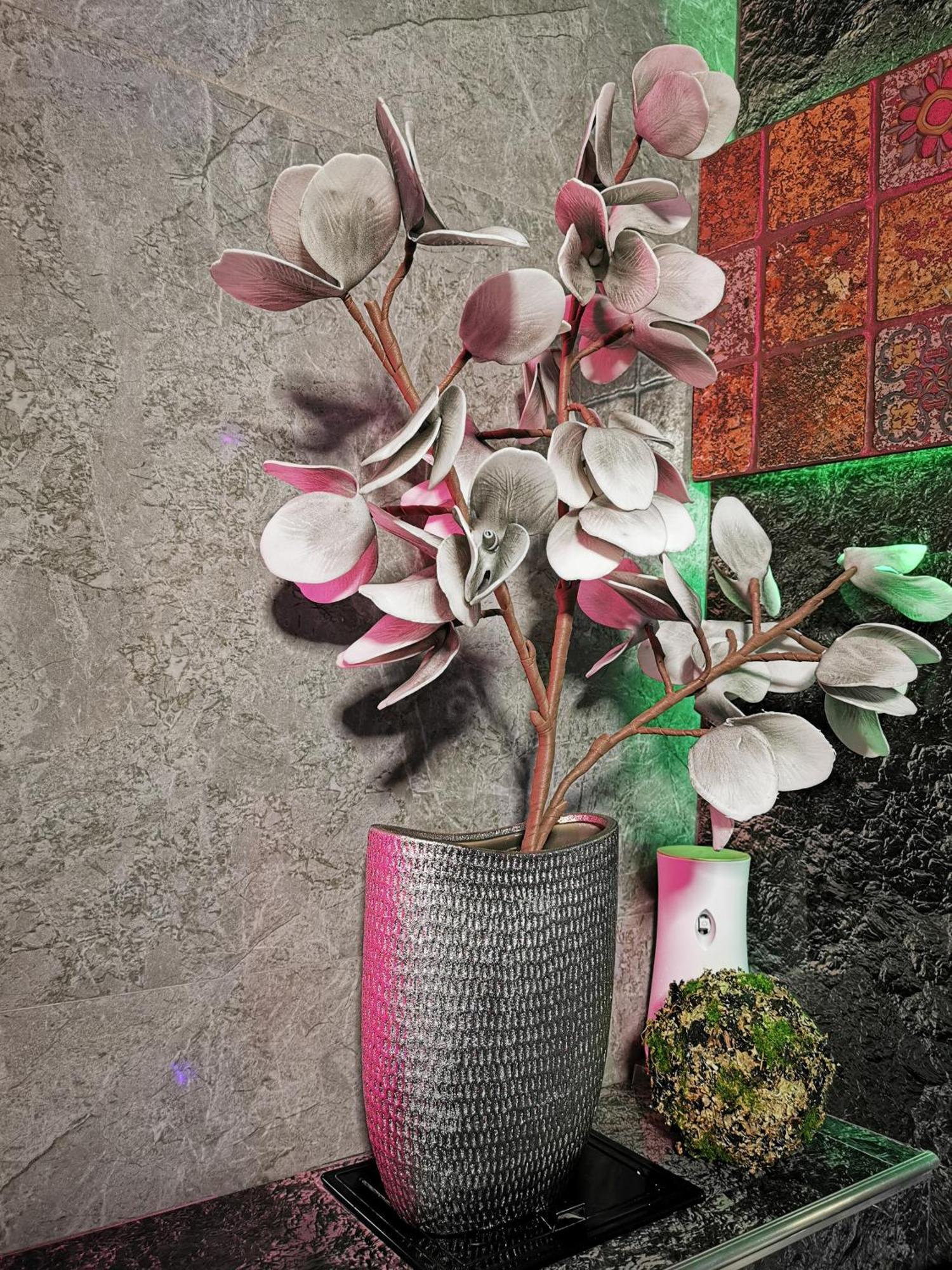 Crystal Central Apartment Braşov Dış mekan fotoğraf